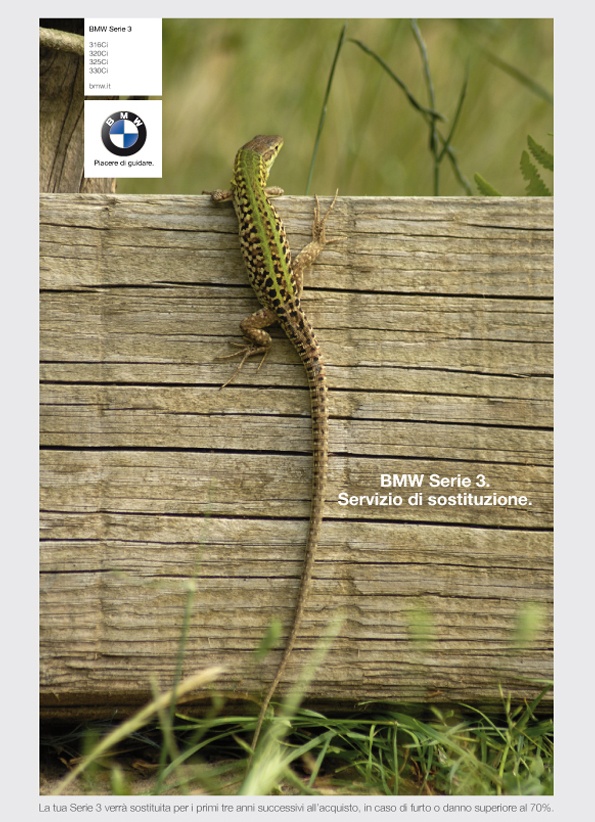 Gara Creativa bmw 2001